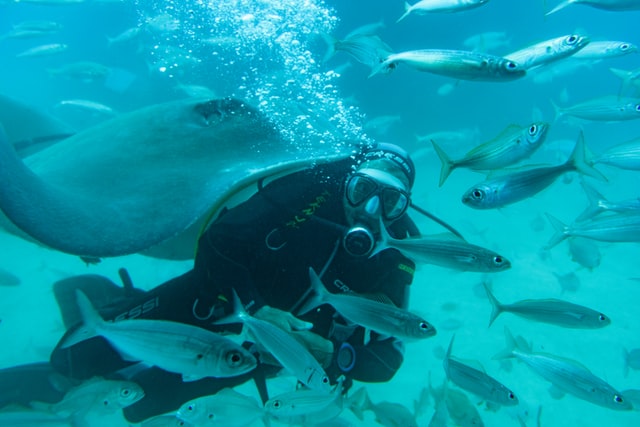 Corse : une destination de rêve pour les passionnés de sport